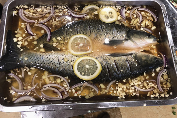 锡纸烤鱼nba无插件极速体育_jrs直播网_jrs低调直播网制作