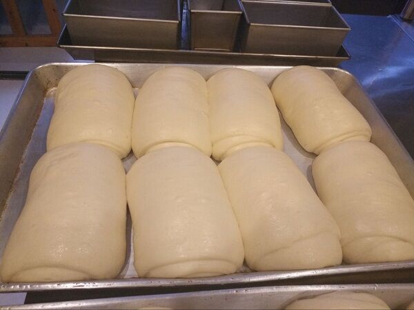 河南郑州手工面包nba无插件极速体育_jrs直播网_jrs低调直播网成品