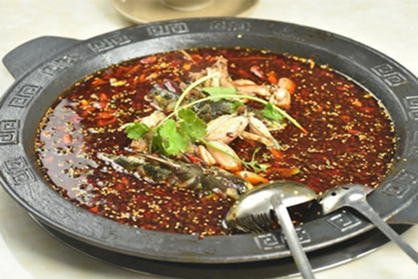 美蛙鱼头nba无插件极速体育_jrs直播网_jrs低调直播网成品