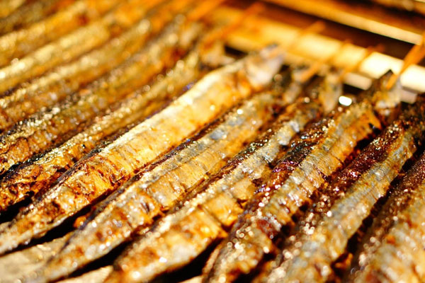 华飞大排档nba无插件极速体育_jrs直播网_jrs低调直播网学员制作成品