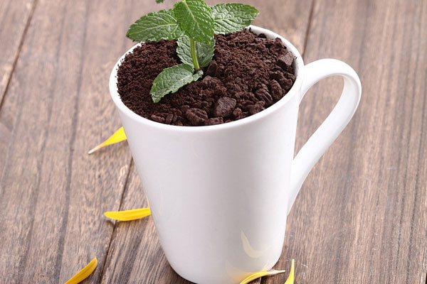 倾品盆栽奶茶加盟学员制作成品