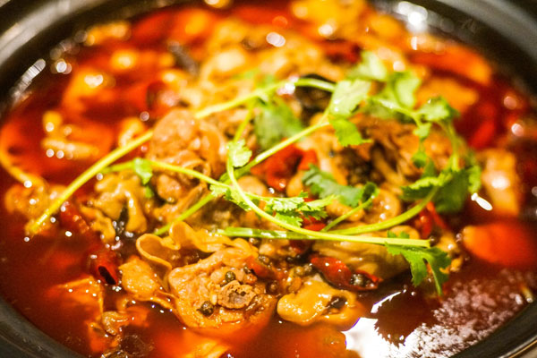 华飞肥肠鸡nba无插件极速体育_jrs直播网_jrs低调直播网学员制作成品