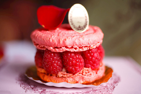 糕点nba无插件极速体育_jrs直播网_jrs低调直播网