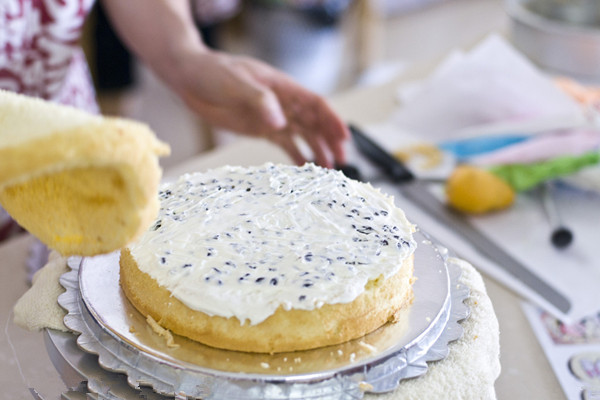 糕点nba无插件极速体育_jrs直播网_jrs低调直播网