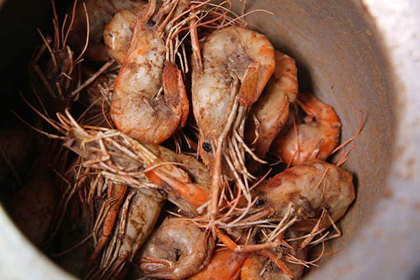 华飞胡椒虾nba无插件极速体育_jrs直播网_jrs低调直播网学员制作成品