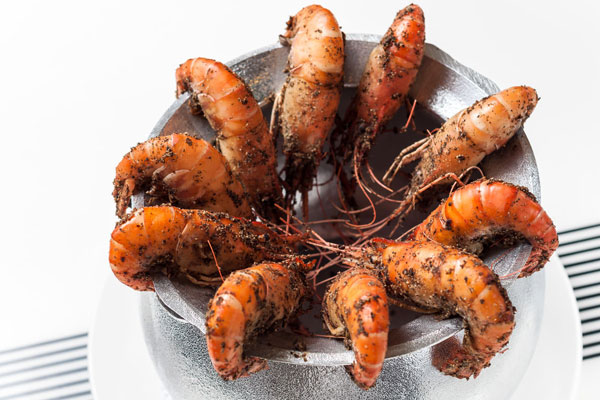 华飞胡椒虾nba无插件极速体育_jrs直播网_jrs低调直播网学员制作成品