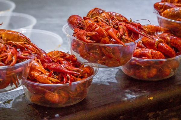 大排档nba无插件极速体育_jrs直播网_jrs低调直播网制作成品