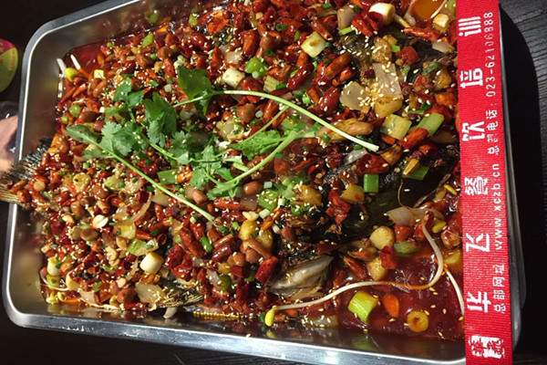 如何选择一家靠谱的烤鱼nba无插件极速体育_jrs直播网_jrs低调直播网机构