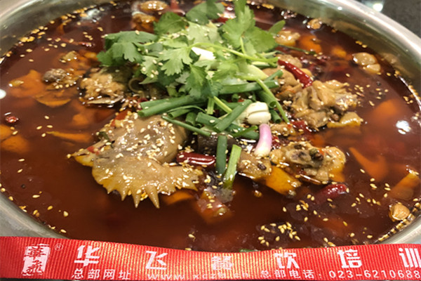 nba无插件极速体育_jrs直播网_jrs低调直播网肥肠鸡